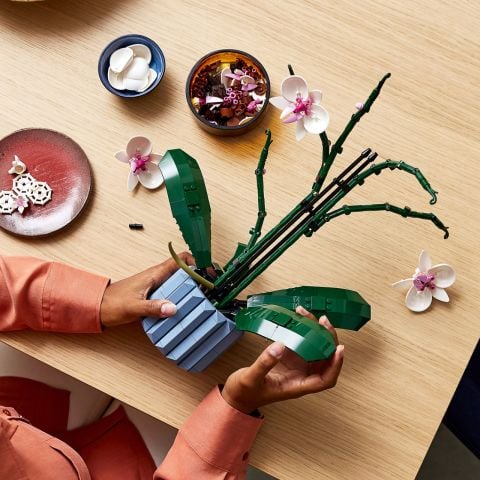 LEGO® Orkide 10311 Dekoratif Bitki Yapım Seti (608 Parça)