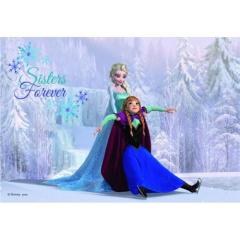 Ravensburger 2x24 Parçalı Puzzle WD Frozen-091157