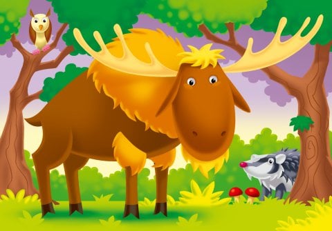 Ravensburger 6/8/10/12p Puz Yaşadığım Yer