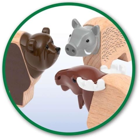 Kuzey Hayvanları Seti