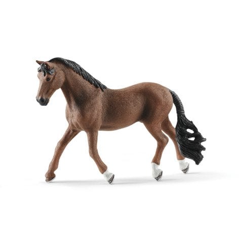 Trakehner Beygir