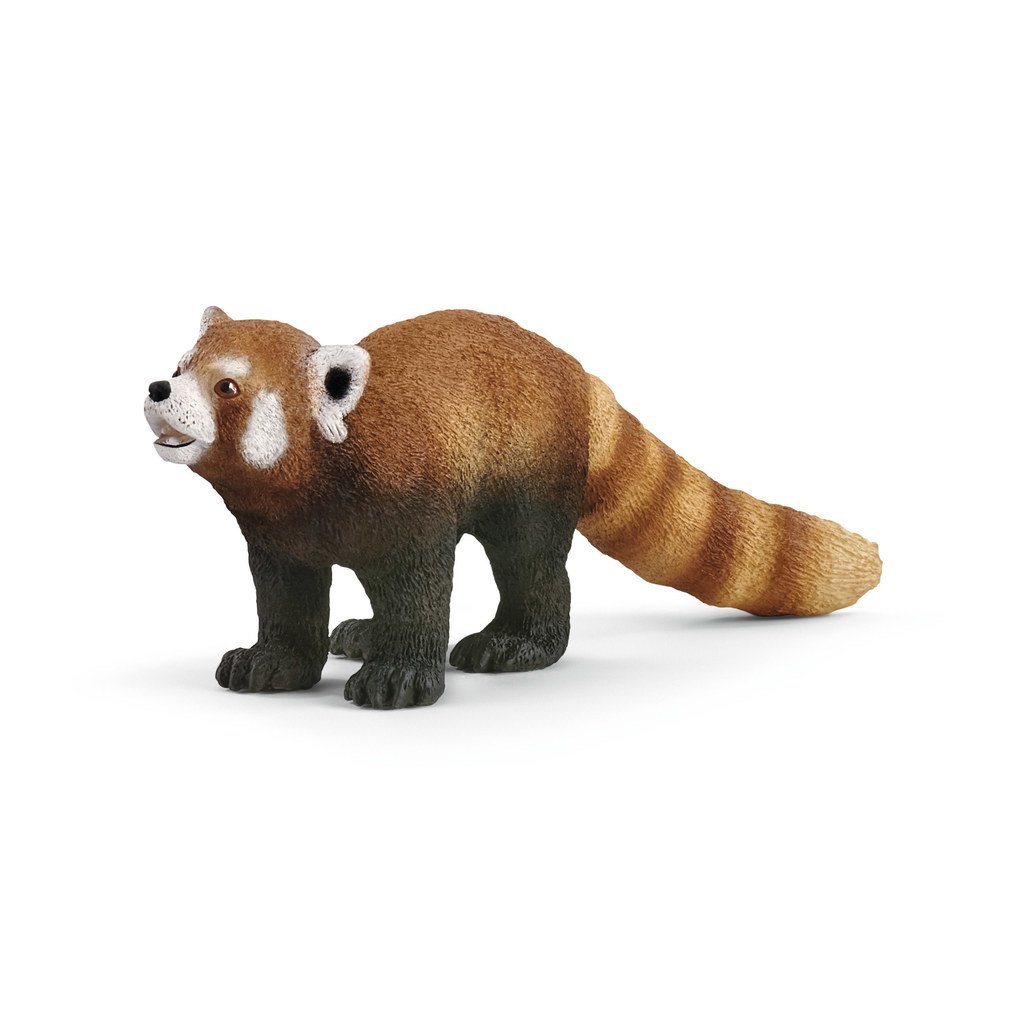 Kırmızı Panda