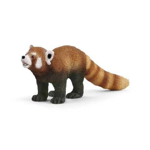Kırmızı Panda