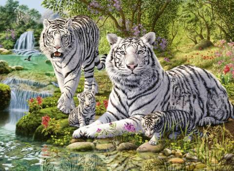 500p Puz White Tiger Family