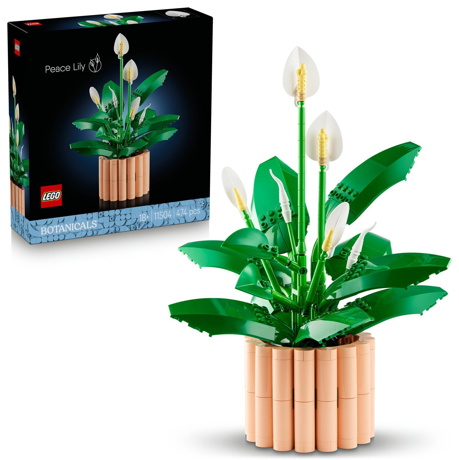 LEGO® Botanicals Barış Çiçeği 11504