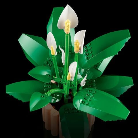 LEGO® Botanicals Barış Çiçeği 11504