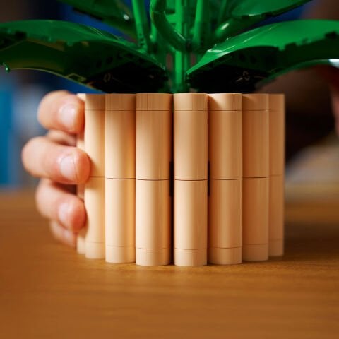 LEGO® Botanicals Barış Çiçeği 11504