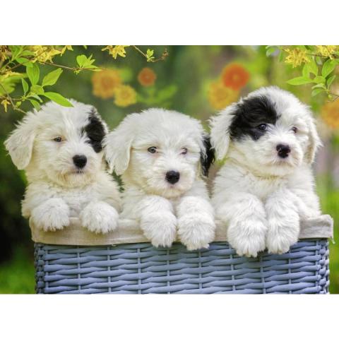 Ravensburger 200 Parçalı PuzzlePuppies-127658